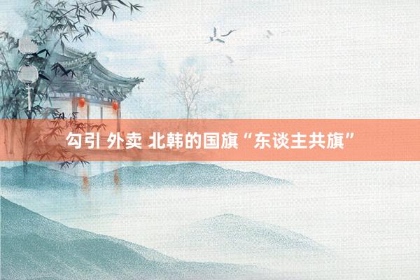 勾引 外卖 北韩的国旗“东谈主共旗”