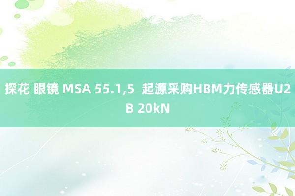 探花 眼镜 MSA 55.1，5  起源采购HBM力传感器U2B 20kN